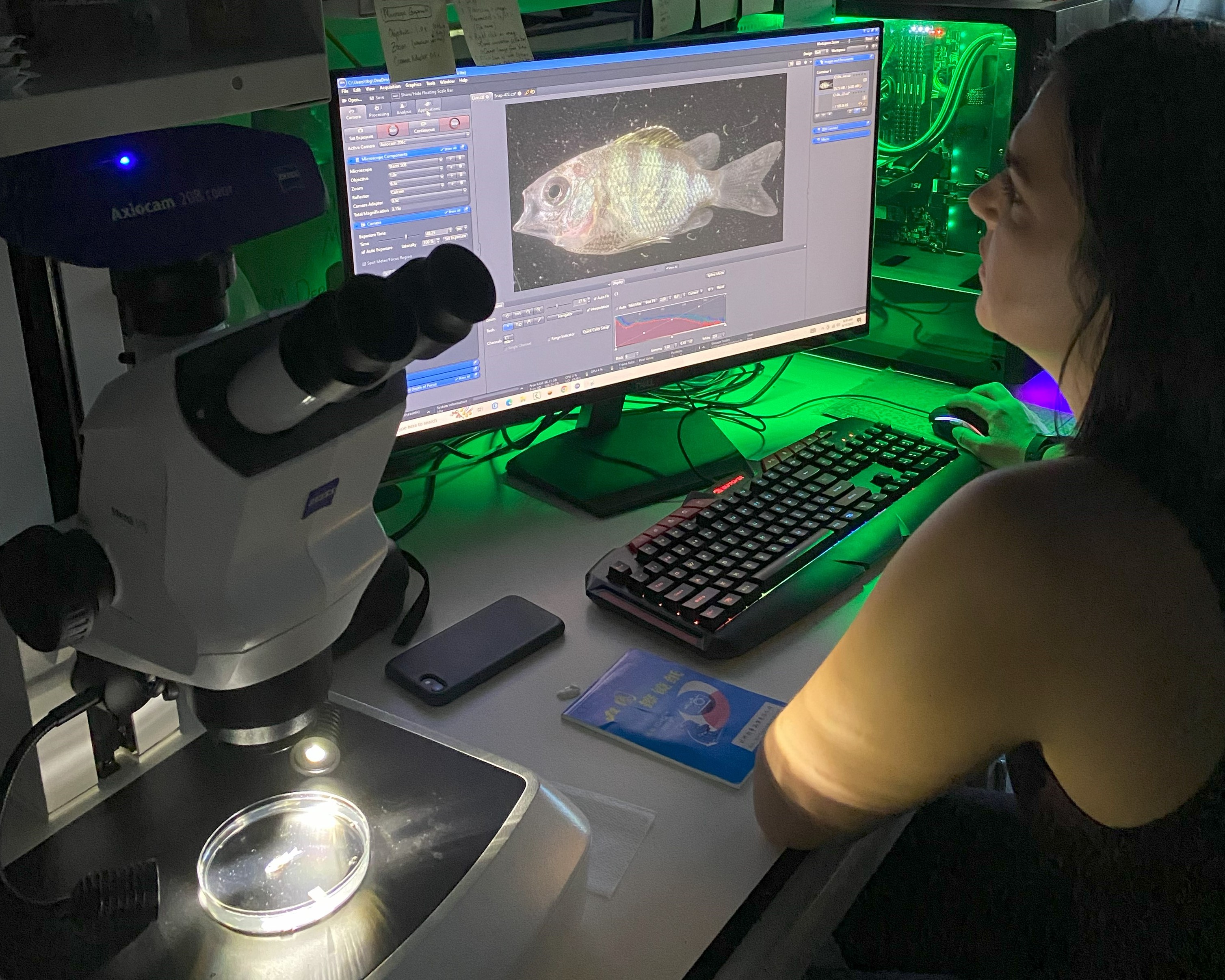 Student sits in a dark room looking at a fish on a computer enlarged using a microscope