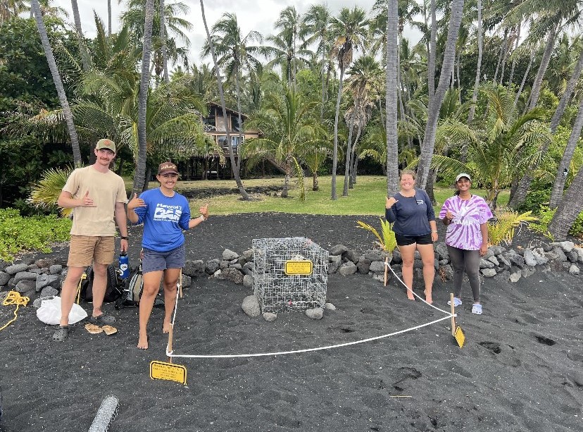 Ally and three colleagues throw shakas while standing by a turtle nest enclosure