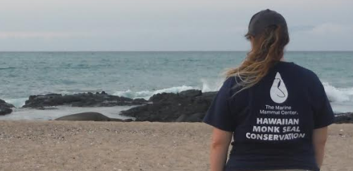 Kelsey Keister, a TCBES internship student, gazing at the ocean