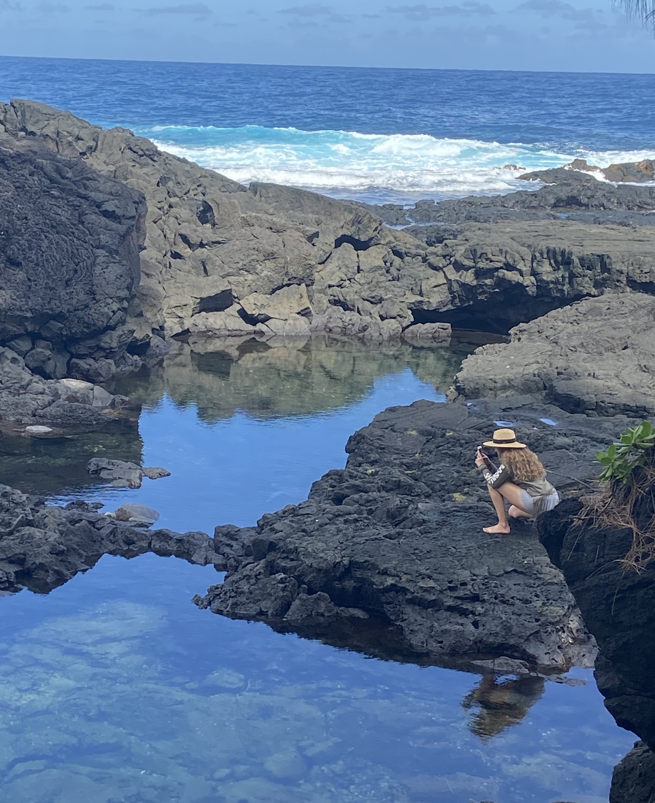 Lucy sits on lava rock near a tide pool and photographs a turtle from a safe distance