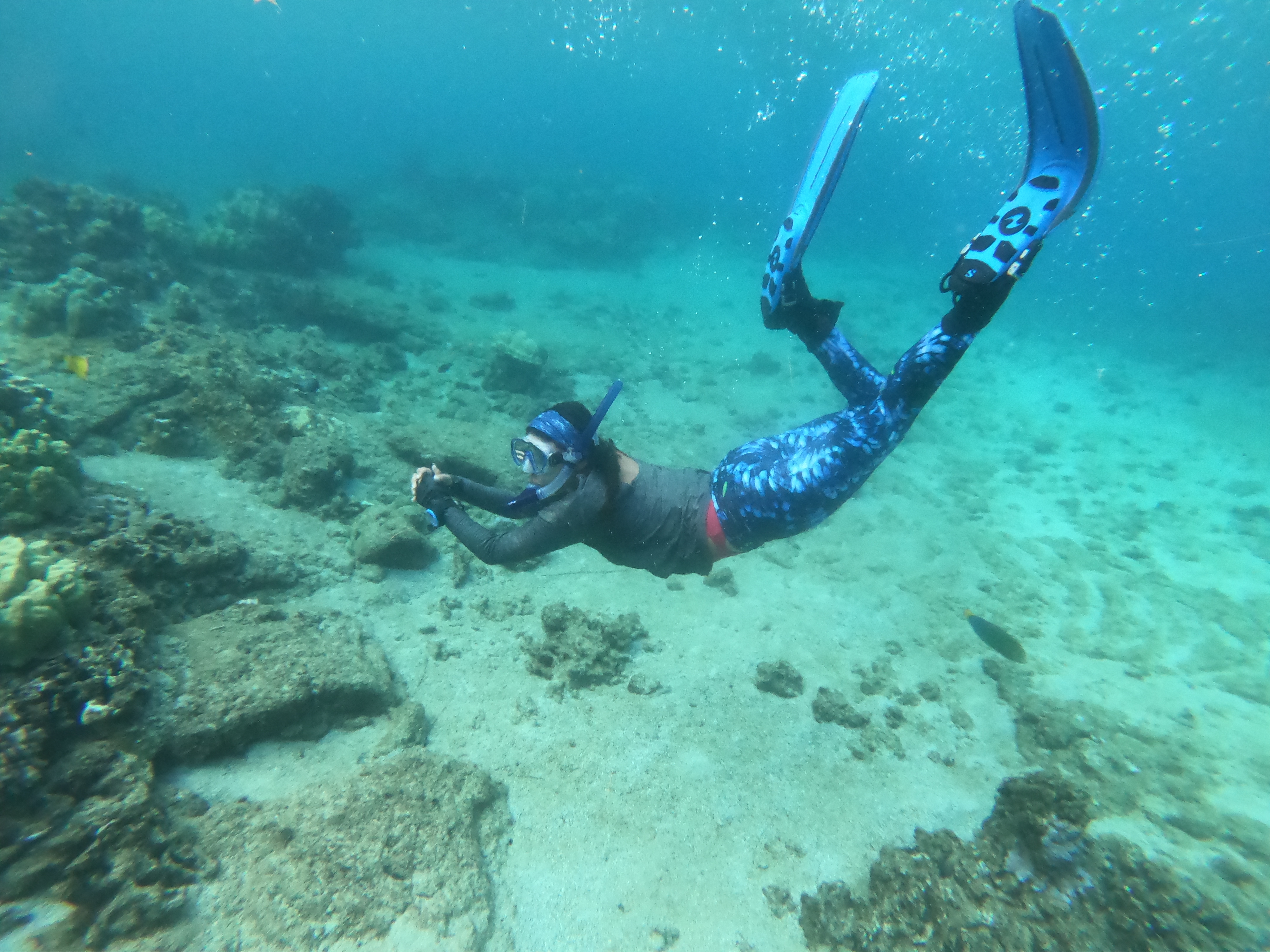 Mikayla diving in a reef, swimming with a couple fish wearing a snorkle and fins