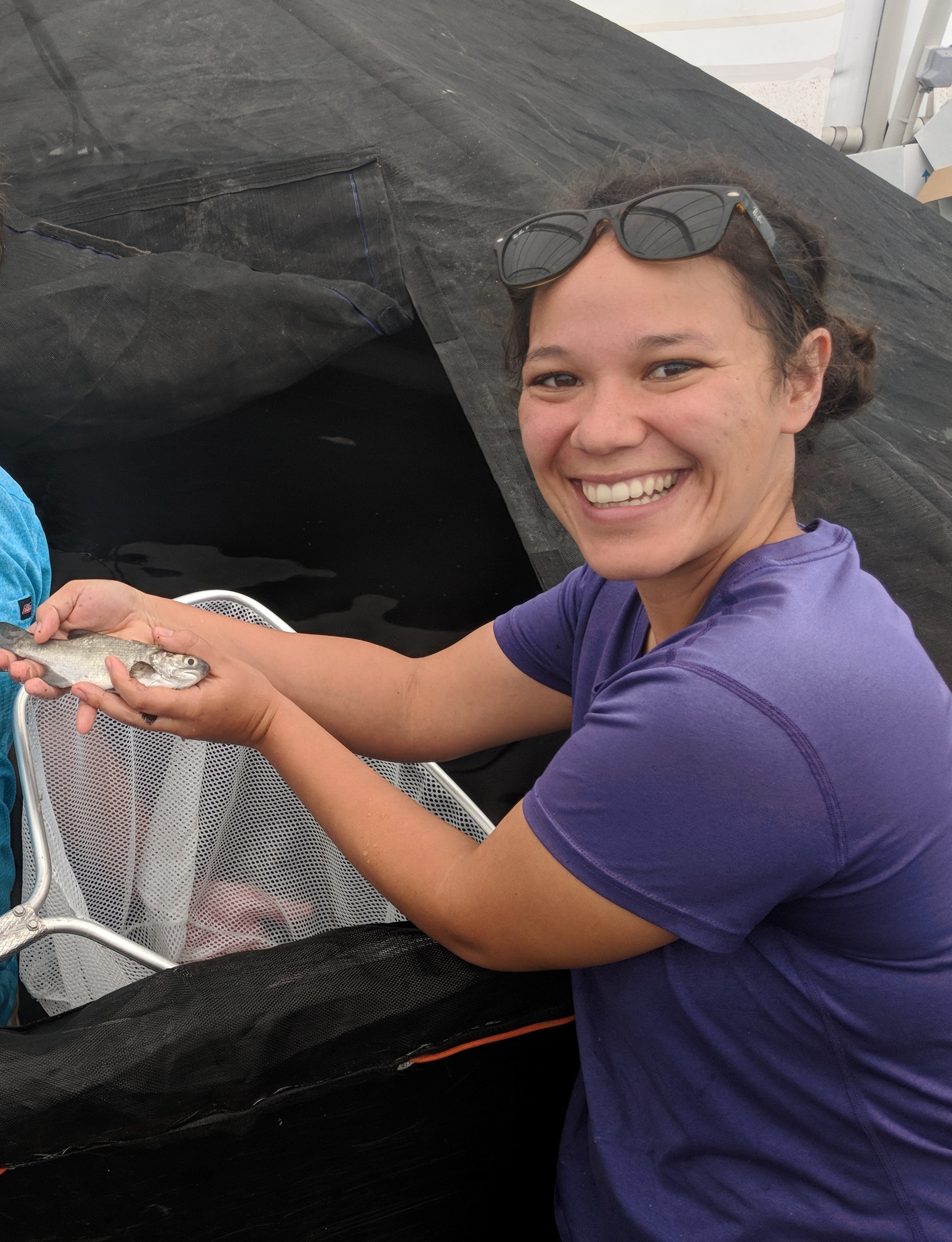Young woman with brown hair in a bun and sunglasses on her head holds up a small silver fish
