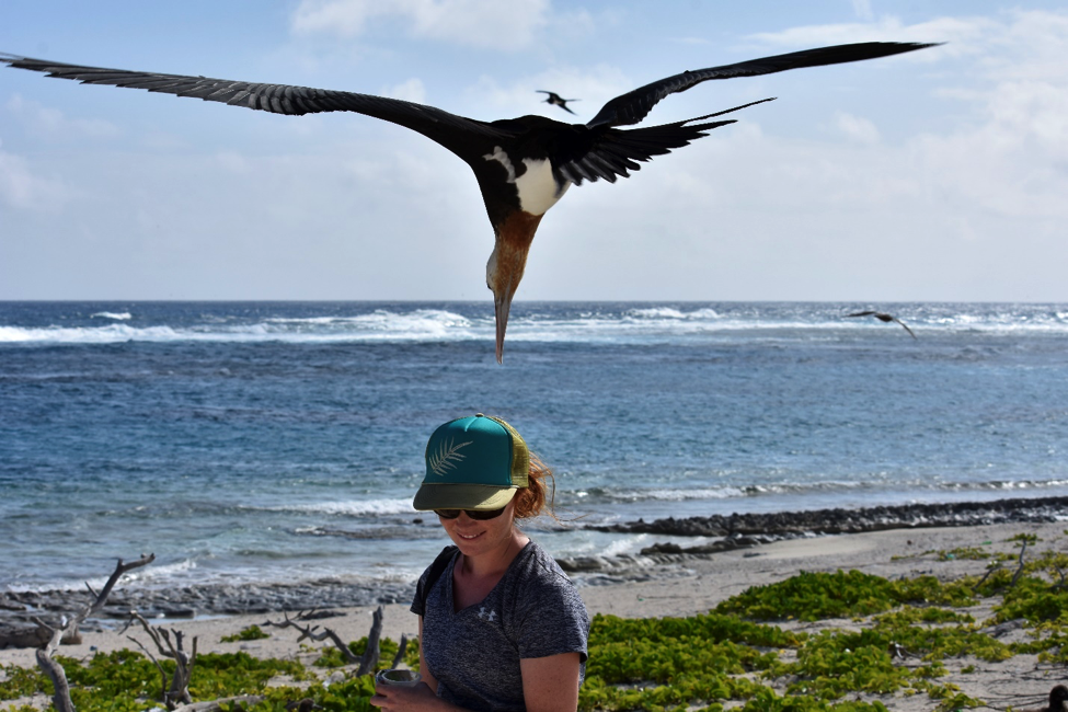 Kelly stands by the water while a large seabird flies overhead