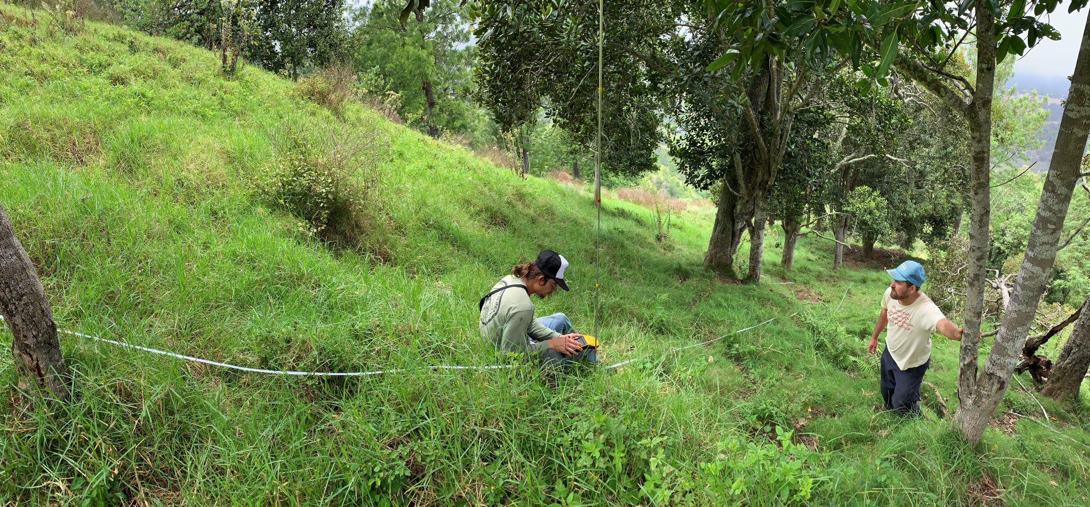 David sits beside a transect running through a woodland and reads a GPS