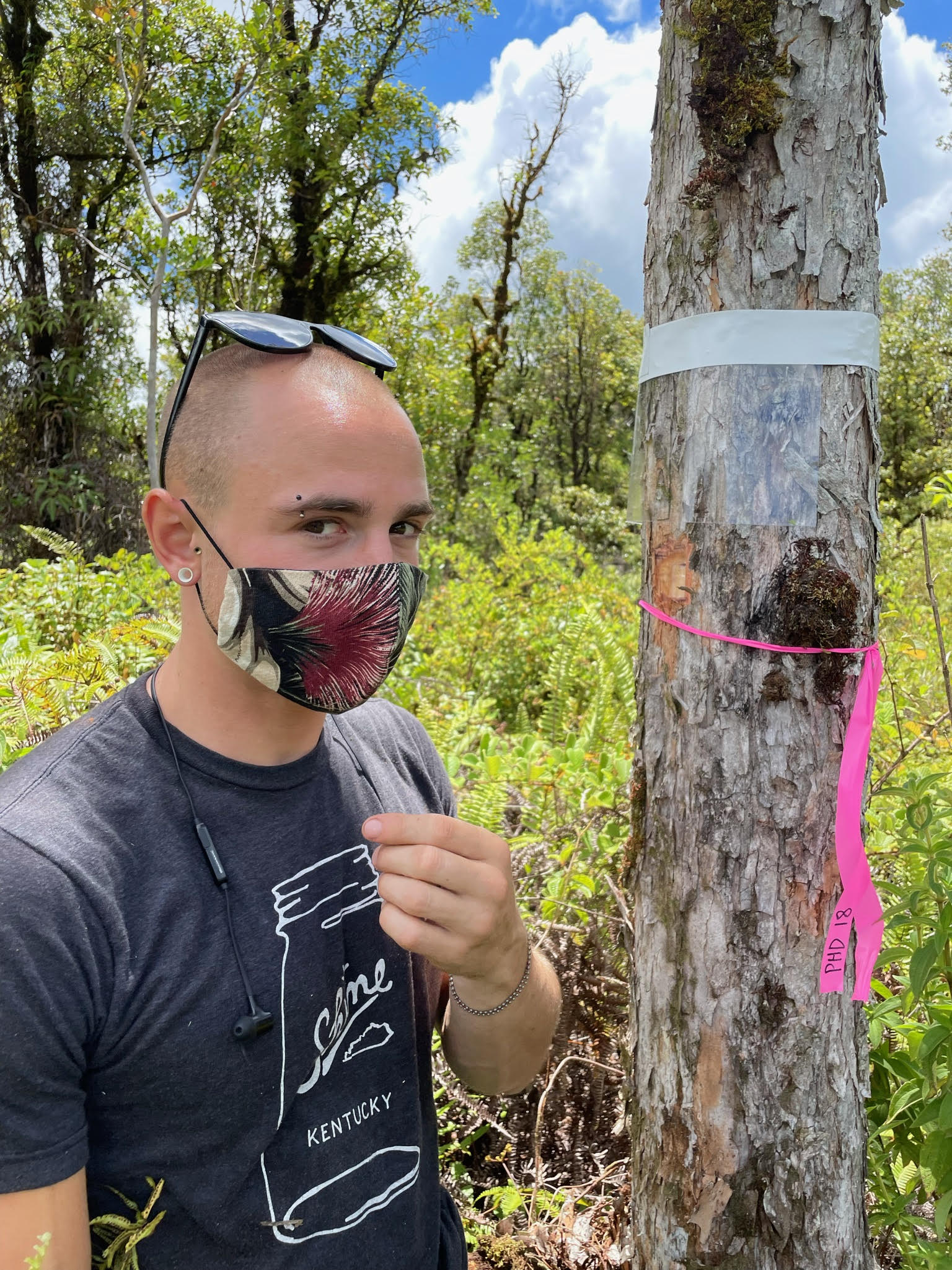 Dan stands next to a flagged tree