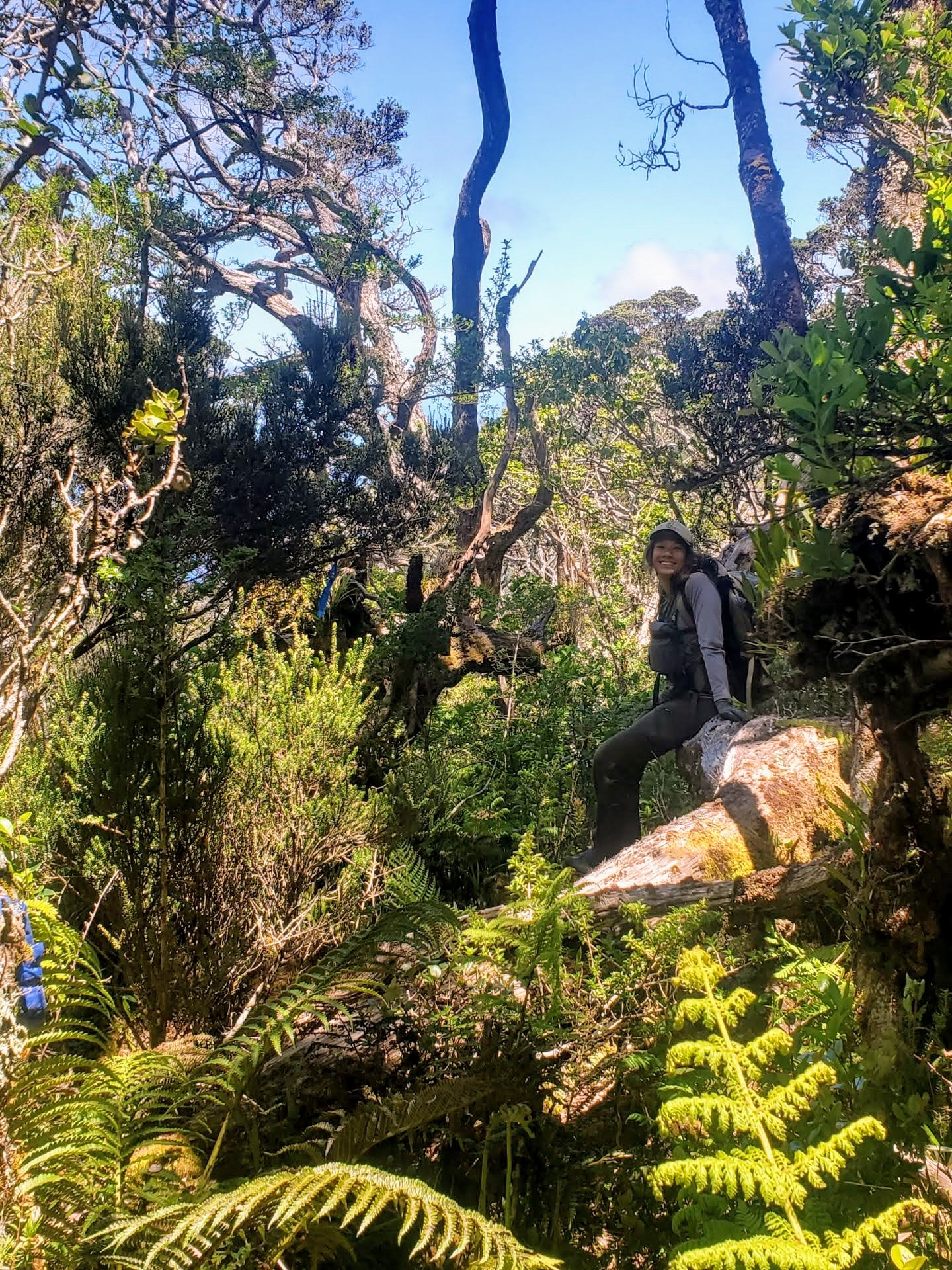 Erika sits on a rock in a forest