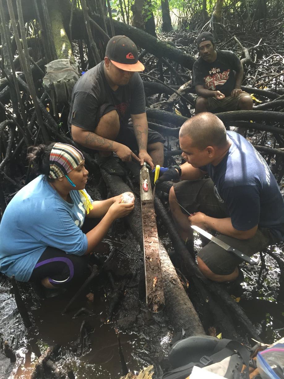 Maybeleen and crew observe soil near a tree